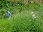 DSCF4054.jpg