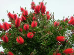DSCF4055.jpg