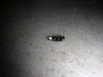 DSCN2263.jpg