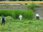 DSCF4082.jpg