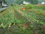 DSCF4083.jpg