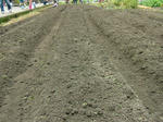 DSCF4086.jpg