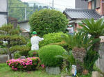 DSCF4088.jpg