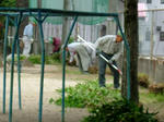 DSCF4089.jpg