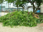 DSCF4090.jpg