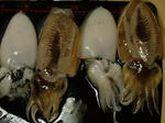 DSCF4097.jpg