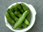 DSCF4098.jpg