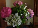DSCF4102.jpg
