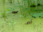 DSCF4127.jpg