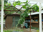 DSCF4131.jpg