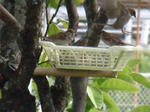 DSCN0001.jpg