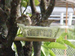 DSCN0016.jpg