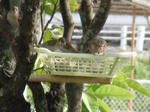 DSCN0017.jpg