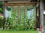 DSCF4132.jpg