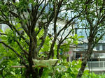 DSCF4151.jpg