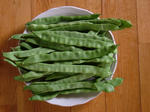 DSCF4152.jpg
