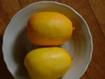 DSCF4154.jpg