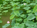 DSCF4163.jpg