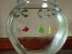 DSCF4165.jpg