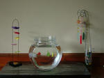 DSCF4166.jpg