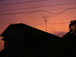 DSCF4172.jpg
