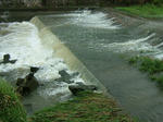DSCF4177.jpg