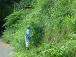 DSCF4199.jpg