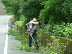 DSCF4207.jpg