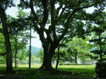 DSCF4227.jpg