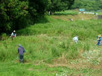 DSCF4239.jpg