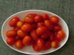 DSCF4244.jpg
