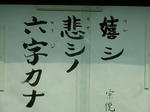 DSCF4246.jpg
