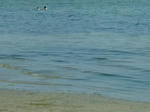 DSCF4247.jpg