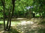 DSCF4263.jpg
