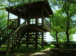 DSCF4264.jpg