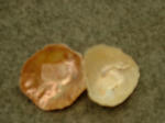 DSCF4267.jpg