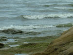 DSCF4272.jpg