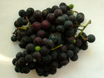DSCF4311.jpg