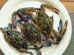DSCF4317.jpg