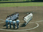 DSCF4319.jpg