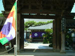 DSCF4333.jpg