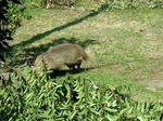 DSCF4339.jpg
