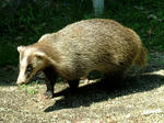 DSCF4341.jpg