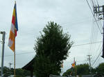 DSCF4354.jpg