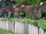 DSCF4361.jpg