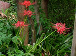 DSCF4363.jpg
