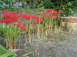 DSCF4364.jpg