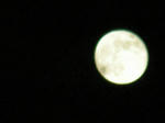 DSCN0090.jpg