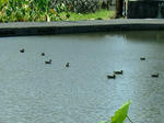 DSCF4377.jpg