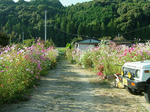 DSCF4393.jpg
